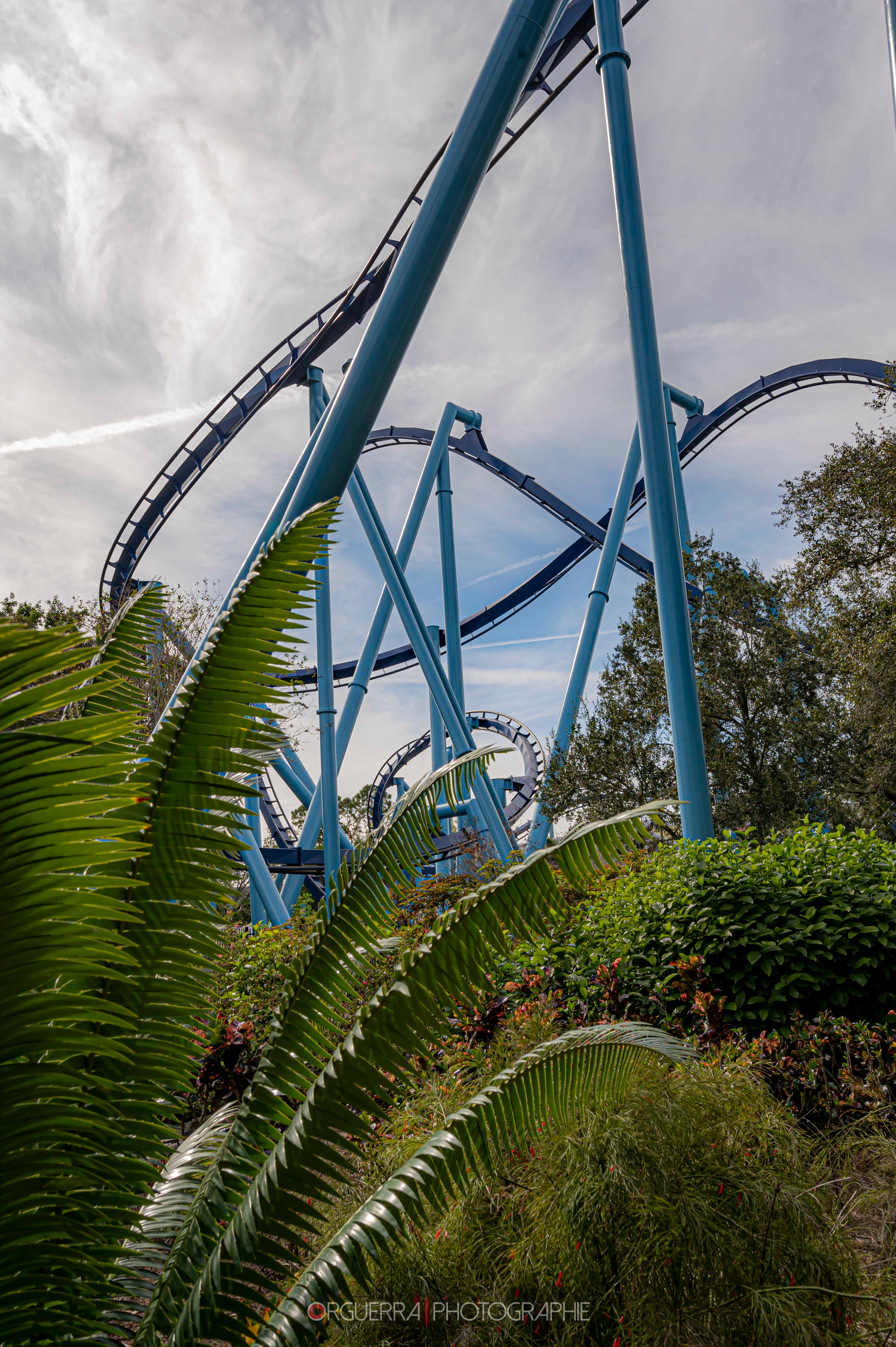 Sea World